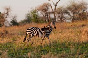 5 Dagen Groeps Kampeersafari