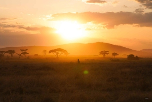 5 Dagen Groeps Kampeersafari