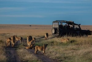 5 päivän ryhmäsafari Serengeti, Ngorongoro ja Manyara-järvi Serengeti, Ngorongoro ja Manyara-järvi