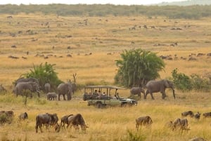 Safari de 5 jours en groupe dans le Serengeti, le Ngorongoro et le Tarangire