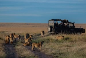 Safari de 5 jours en groupe dans le Serengeti, le Ngorongoro et le Tarangire