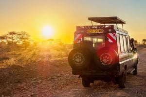 Safari de 5 jours en groupe dans le Serengeti, le Ngorongoro et le Tarangire