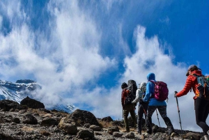 5 Days Kilimanjaro Climb Marangu Route