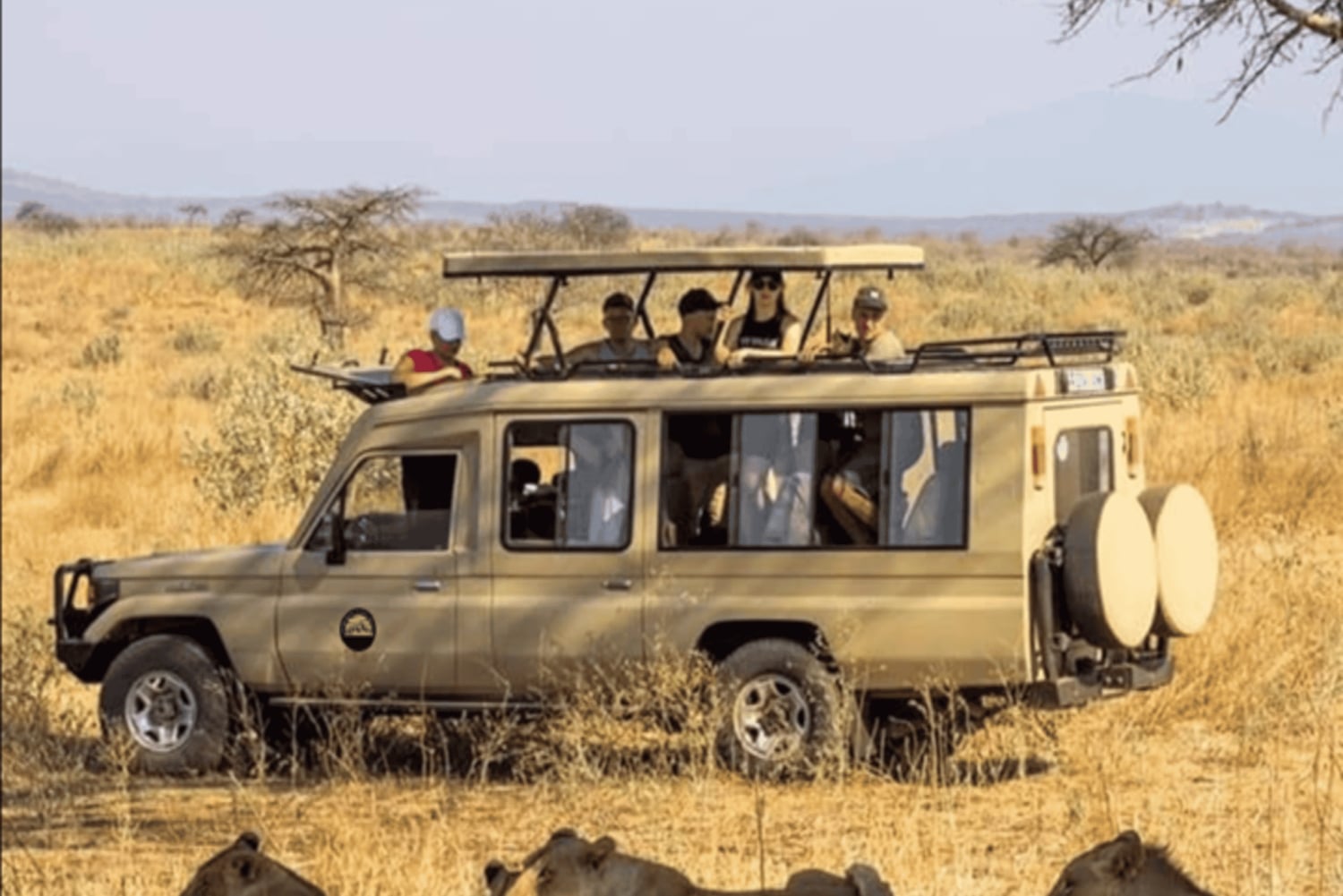 5 Dagen Migratie, Tarangire, Serengeti en Ngorongoro