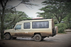 5 Days Safari Car rental