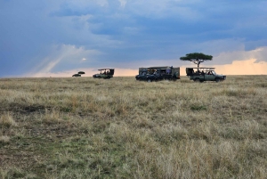 Safari de 5 días por la migración del Serengueti en Tanzania