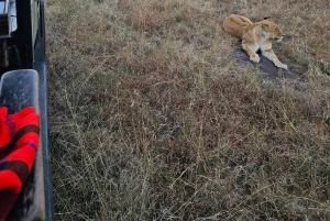 Safari de 5 días por la migración del Serengueti en Tanzania