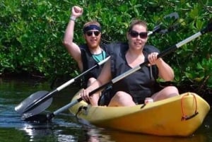 5 h kayak tour through the mangrove forest