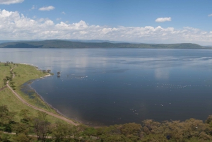 5days group safari, Maasai mara, nakuru and naivasha