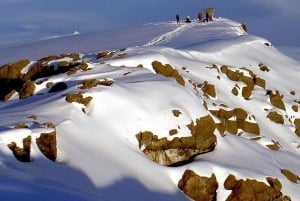 6 jours d'ascension du Kilimandjaro par la voie Marangu avec refuges