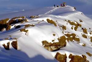 Escalada de 6 días al Kilimanjaro por la ruta Marangu con refugios