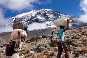 Escalada de 6 días al Kilimanjaro por la ruta Marangu con refugios
