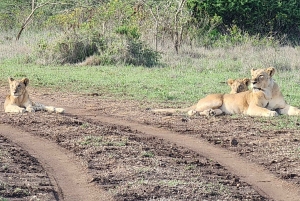 6-dniowe safari w Kenii do Amboseli i Tsavo West & East.
