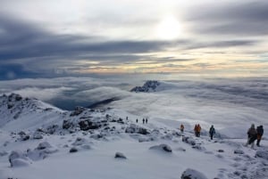 6 päivän Marangu Route Kilimanjaron kiipeilyreitti