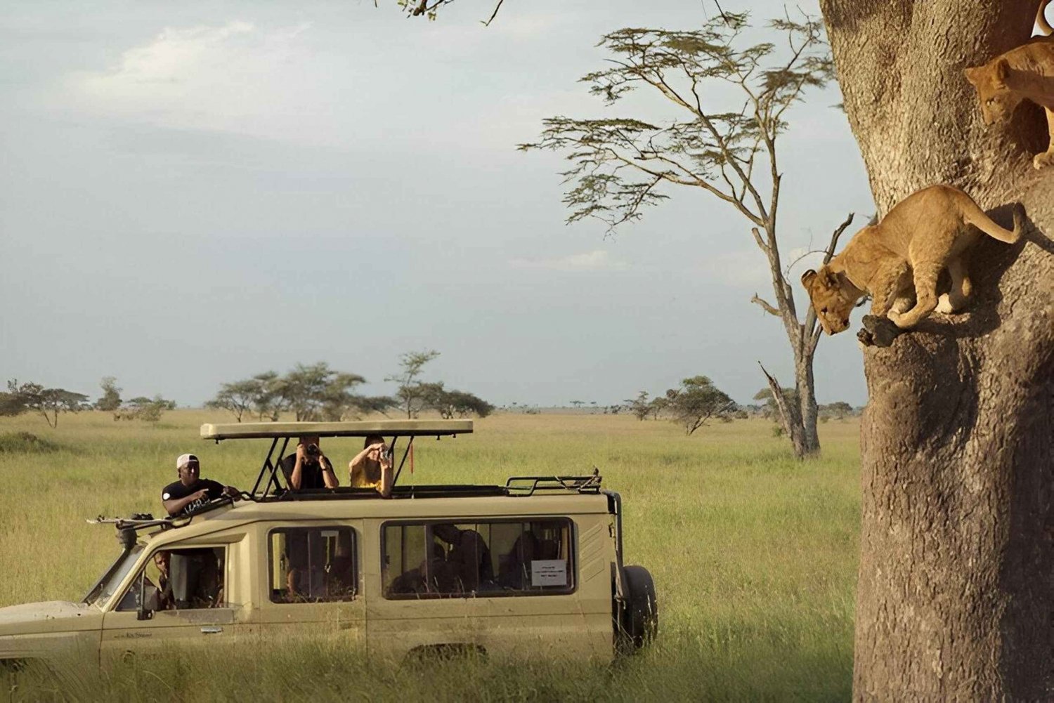 6 Days Discovery Safari In Tanzania