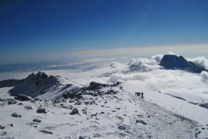 6 Days Kilimanjaro Lemosho route
