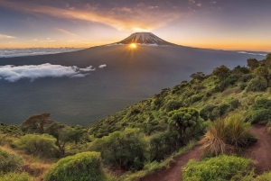 6 Days Kilimanjaro Marangu Route Trek