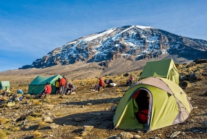 6 dagars klättring på Kilimanjaro via Machame Route