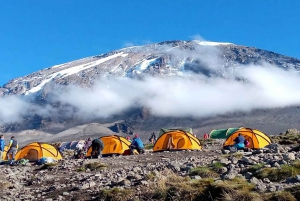 6 giorni di scalata del Kilimangiaro attraverso la via Machame