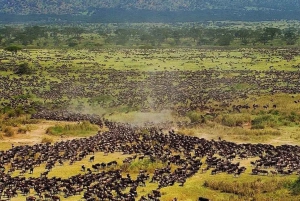 6 Days Serengeti Migration Luxury Safari.