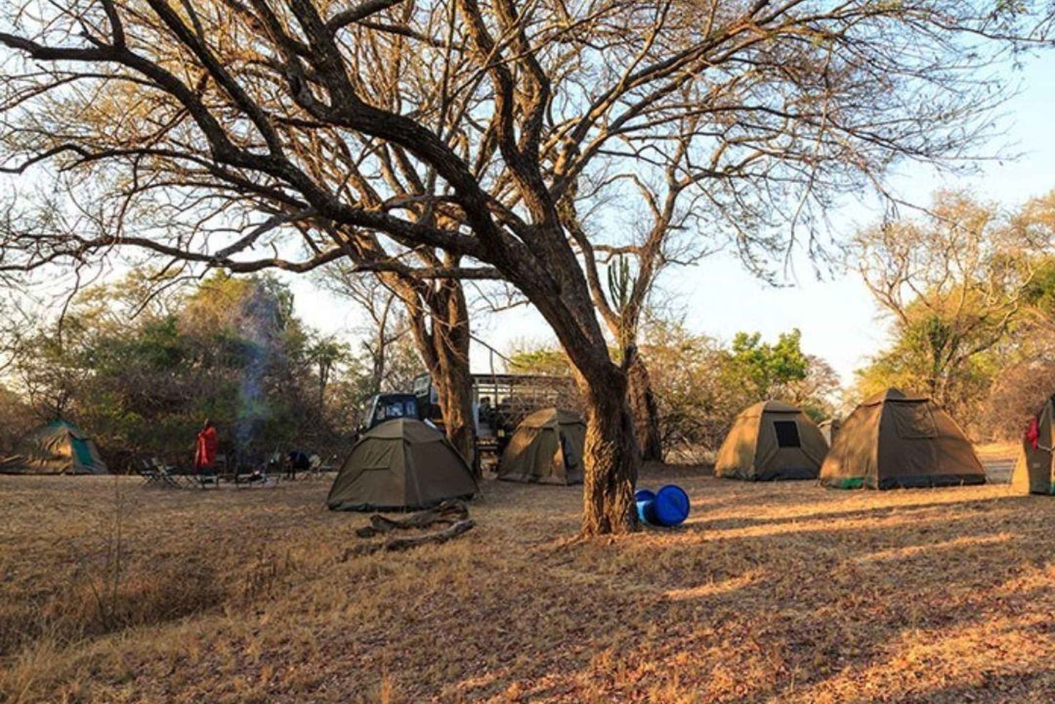 Acampamento económico de 7 dias - Tarangire, Serengeti, Ngorongoro...