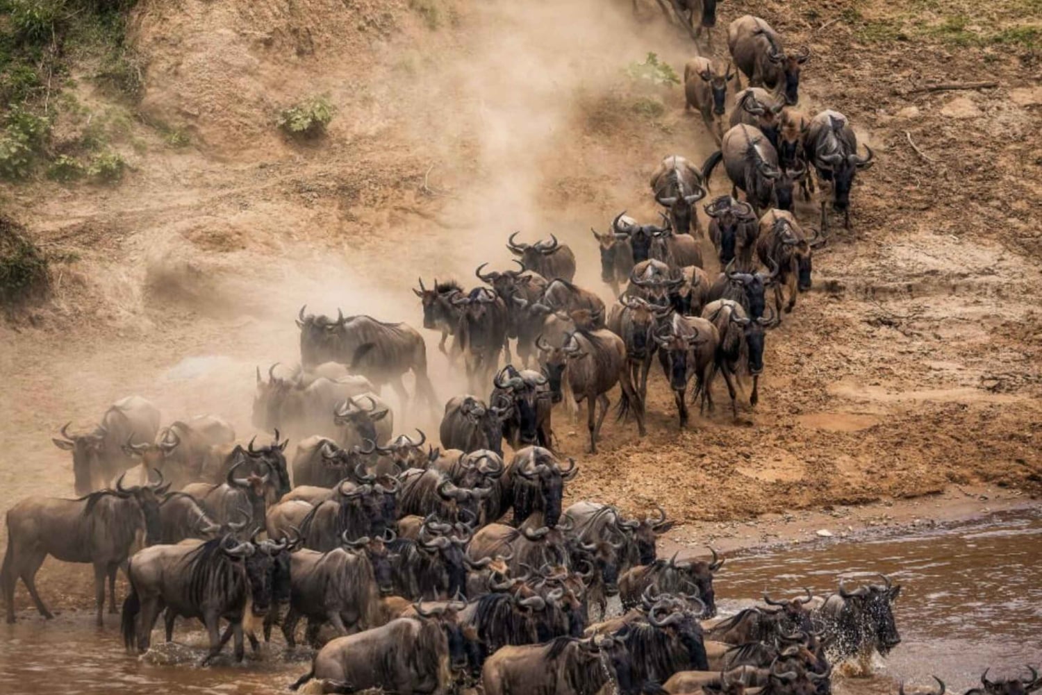 7-Day Great Migration Safari with Meilleur Tours