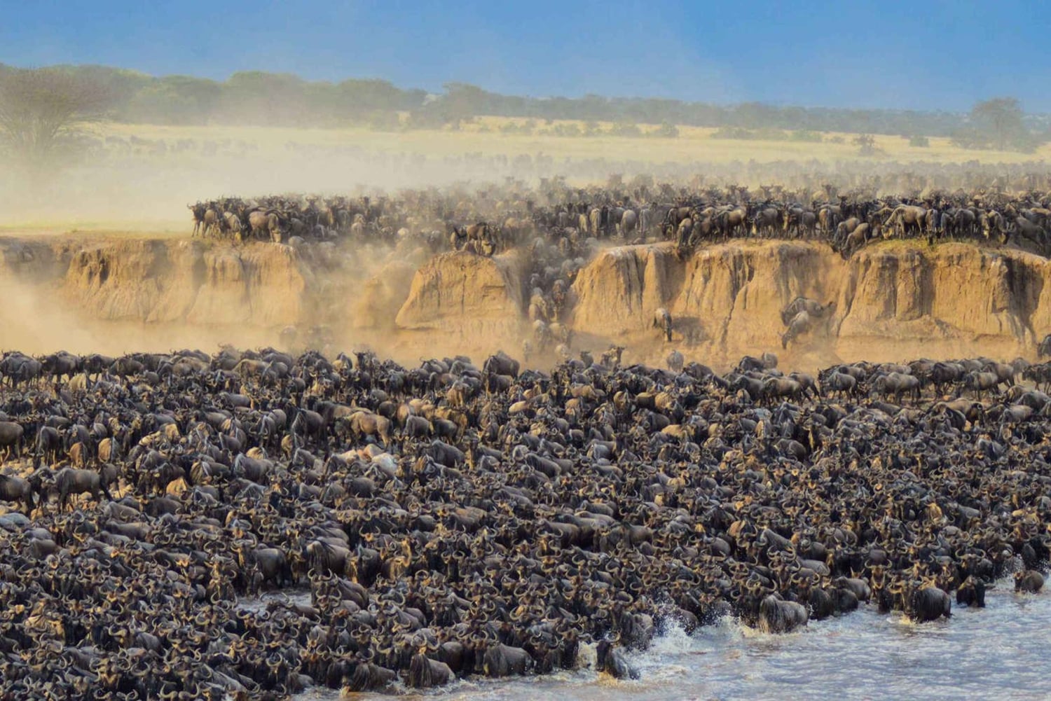 7-Day Great Migration Safari with Meilleur Tours
