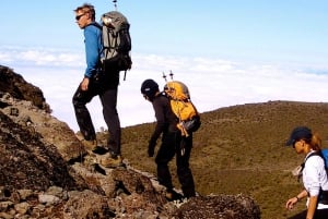 7 Tage: Kilimandscharo-Trek über die Machame-Route