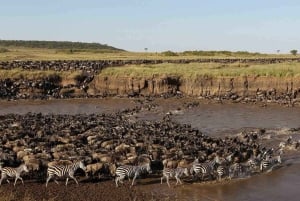 7 päivän ylellinen Serengeti-safari ja kuumailmapalloseikkailu