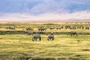 7 päivän ylellinen Serengeti-safari ja kuumailmapalloseikkailu