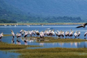 7 päivän ylellinen Serengeti-safari ja kuumailmapalloseikkailu