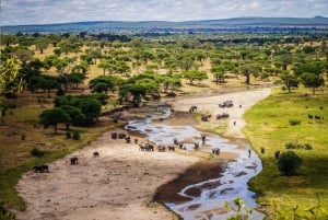 7 päivän ylellinen Serengeti-safari ja kuumailmapalloseikkailu