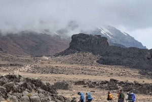 7-daagse Machame-route trekking Kilimanjaro