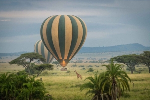Safari di 7 giorni nel Serengeti e tour delle spiagge di Zanzibar