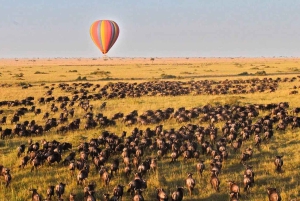 7-Day Group Safari from Zanzibar: