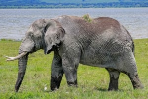 7日間のタンザニア・サファリツアー