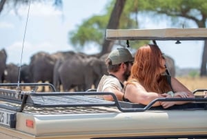 7日間のタンザニア・サファリツアー