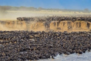 7 Days Comfortable Tanzania Safari
