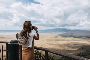 7 Days Comfortable Tanzania Safari