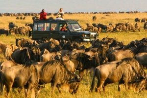 7 días explorando la belleza de Tanzania