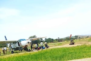 7 jours de trekking dans les parcs nationaux de Gombe et de Mahale et visites locales