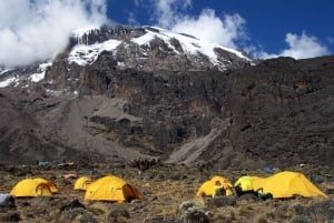7 dias de subida ao Kilimanjaro pela Rota de Lemosho