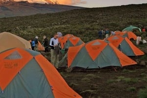 7 dias de subida ao Kilimanjaro pela Rota de Lemosho