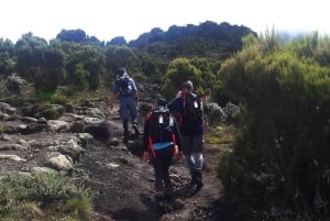 7 dias de subida ao Kilimanjaro pela Rota de Lemosho