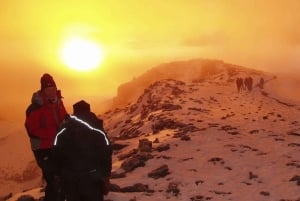 7 dias de subida ao Kilimanjaro pela Rota de Lemosho