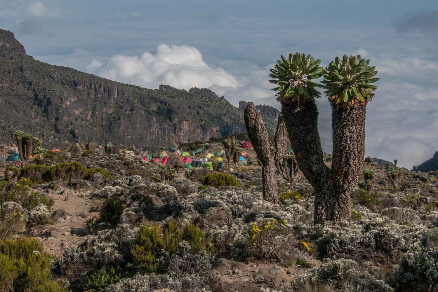 7 days Kilimanjaro Climbing Lemosho route package