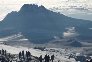 7 päivää Kilimanjaro kiipeilyä Machame reittiä