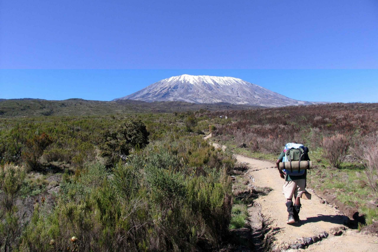 7 days Kilimanjaro Climbing Umbwe route