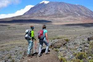 7 giorni di trekking sul Kilimangiaro attraverso la via Lemosho