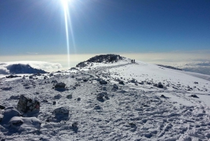7 jours d'ascension du Kilimandjaro par la route de Lemosho